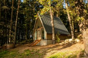 uma cabana na floresta com um telhado de metal em Hygge Chalet 