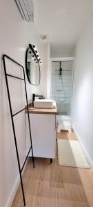 een badkamer met een wastafel en een spiegel bij Sur un nuage - Terrasse - Gare - Hypercentre in Toulouse