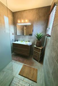 a bathroom with a sink and a shower at Villa Aurelie in Cap d'Agde