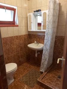 a bathroom with a sink and a toilet and a mirror at Számadó Vendégház in Poroszló