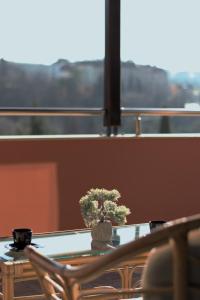 a table with a vase with a plant on it at Medius Park Apartment in Sandanski