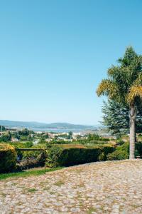 uma palmeira sentada no topo de uma colina em The Quixote House em Caminha