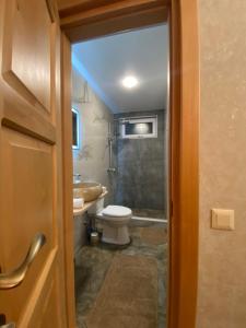 ein Bad mit einem WC und einem Waschbecken in der Unterkunft Guesthouse SHAMPRIANI in Mestia