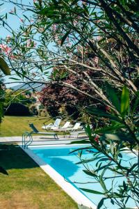 a swimming pool in a yard with chairs and a tree at The Quixote House in Caminha