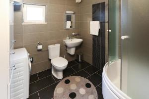 a bathroom with a toilet and a sink and a shower at Spacious apartment Lucia in Prožura +22 photos