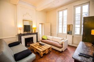 een woonkamer met een bank en een open haard bij LA BELLE PIERRE - Appartement de charme très calme en Cœur de Ville in Auxerre