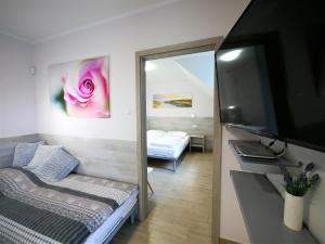 a room with a bed and a tv and a mirror at Szafir Apartamenty in Sianozety
