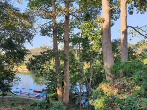 a view of a lake through a group of trees at บ้านสวนแม่น้ำ-บ้านพูลวิลล่า in Ban Kao