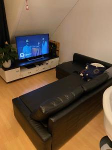 TV a/nebo společenská místnost v ubytování Nice Private Room in Shared Apartment - 2er WG