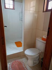 mała łazienka z toaletą i prysznicem w obiekcie Amplo Loft integrado com vista para montanhas! w mieście Itanhandu
