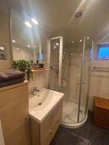 een badkamer met een douche, een wastafel en een toilet bij Sfeervol Boschalet 5 persoons met Sauna in Voorthuizen