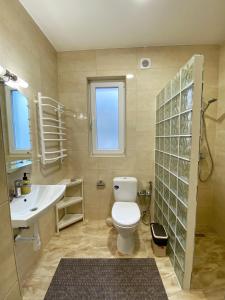 a bathroom with a toilet and a sink at Villa “Eleon” in Velyka Bihanʼ