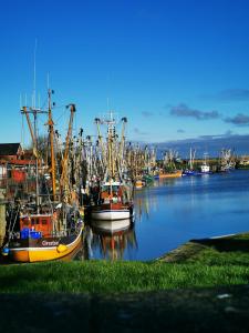 a group of boats are docked in a harbor at Hotel Am Deich in Norddeich