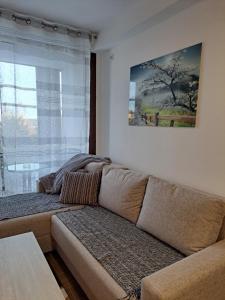 O zonă de relaxare la Divcibor 23