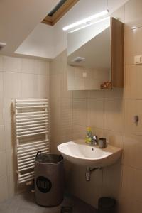 a bathroom with a sink and a mirror and a trash can at Forest View Apartment in Pohorje +32 photos