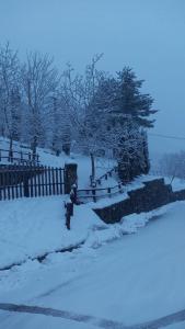 プラトヴェッキオにあるB&B Borgo Valagnesiの雪庭