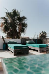 - une rangée de lits sur une terrasse avec un palmier dans l'établissement Vent Des Dunes, à Essaouira