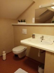 a bathroom with a sink and a toilet at Auberge du Marronnier in Belmont-sur-Rance