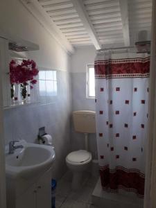 a bathroom with a toilet and a sink and a shower curtain at Giota & Antonia Apartments in Koroni
