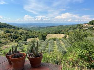 three potted plants sitting on a ledge with a view at Stanze Blu in Subbiano