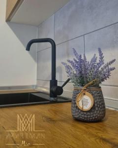 un vase de fleurs violettes assis au-dessus d'un comptoir dans l'établissement Stan na dan-Apartman Mia, à Lukavica 23 autres photos