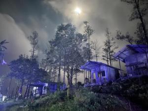 a blue house in the middle of a forest at night at Kanasucoffeenadu in Attigundi
