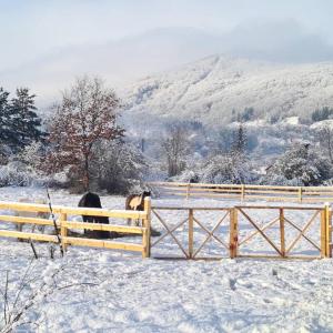 Eco kutak durante o inverno