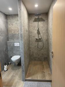 ein Bad mit einer Dusche und einem WC in der Unterkunft Appartement Jungle centre confort et spacieux netflix wifi gratuit in Saint-Étienne