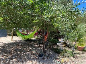 einen Garten mit einer Hängematte und einem Baum in der Unterkunft Los Fernández in Jaureguiberry