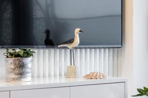 Zvieratá v apartmáne alebo blízkom okolí