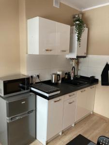 Kuchyňa alebo kuchynka v ubytovaní Apartament Górski
