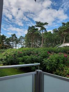 une clôture blanche en face d'un jardin avec des fleurs roses dans l'établissement apartament MT burszynowe osiedle, à Jantar