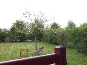 twee stoelen en een boom in een tuin bij La Roulotte des Matis in Cheux