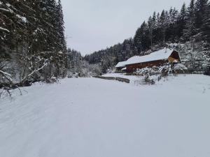 Chalet am Bach v zimě