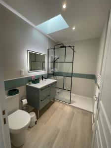 a bathroom with a toilet and a sink and a shower at Charmante maison au coeur du village de Saint-Trojan-les-Bains in Saint-Trojan-les-Bains