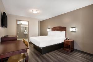 爱迪生Red Carpet inn Edison的配有床和书桌的酒店房间