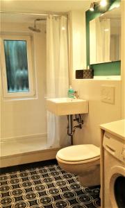 a bathroom with a toilet and a sink and a shower at Meisterhaus Alpirsbach Wohnung OG in Alpirsbach