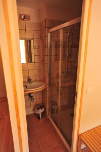 a bathroom with a shower and a sink at Yak Avenir in Aiguilles