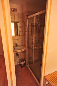 een badkamer met een douche en een wastafel bij Yak Avenir in Aiguilles