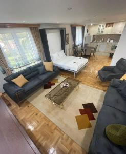 Posezení v ubytování Petrov konak - apartman Aleksandra
