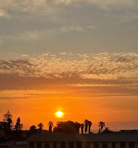 a sunset with palm trees and the sun in the sky at Swakopmund private room in family home in Swakopmund