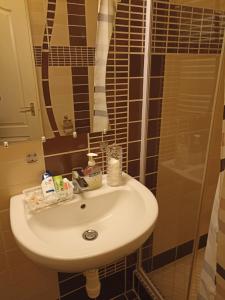 Kúpeľňa v ubytovaní Borostyán Apartmanház