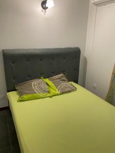 a green bed with two pillows on top of it at Suite de charme avec jacuzzi à 5min de l'aéroport in Les Abymes