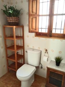 a bathroom with a toilet and a shelf and windows at La Casica in Chulilla