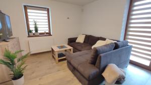 uma sala de estar com um sofá e uma mesa em Apartmán Felix em Vaclavov u Bruntalu