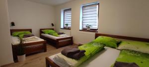 um quarto com duas camas e duas janelas em Apartmán Felix em Vaclavov u Bruntalu