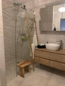 La salle de bains est pourvue d'une douche en verre et d'un lavabo. dans l'établissement Logement Le Bois Le Prêtre Pont-à-Mousson, à Pont-à-Mousson