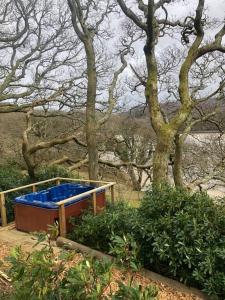 a blue hot tub in a garden with trees at Waterside Cader Cabin with Hot Tub in Barmouth