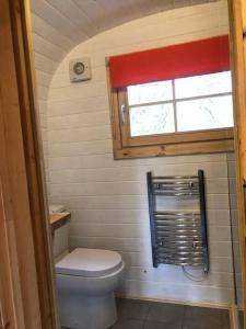 a small bathroom with a toilet and a window at Waterside Cader Cabin with Hot Tub in Barmouth