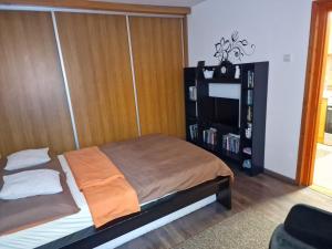タタにあるTóvárosi apartmanのベッドルーム(ベッド1台、本棚付)
